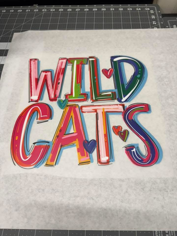 Ready to Ship: Adult Tees