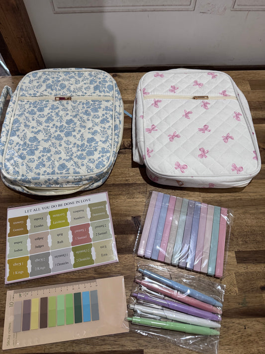 Ready to Ship: Bible Cover Case Set - Salt Threads