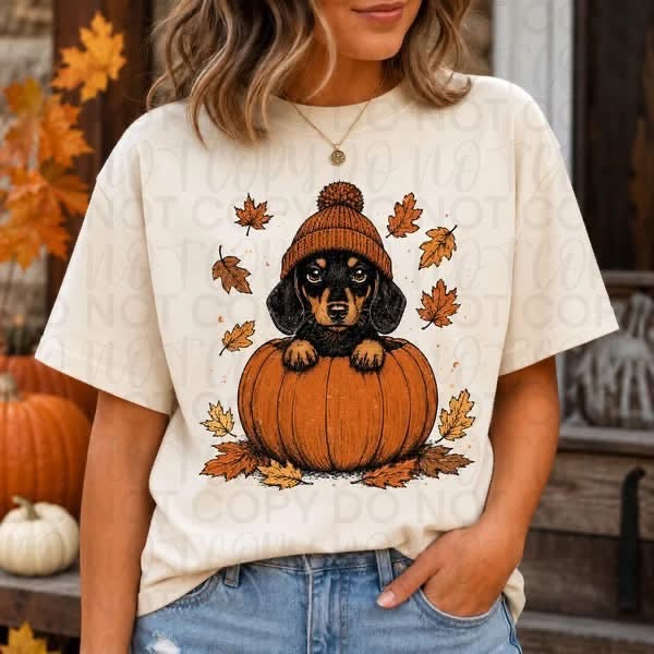 Pre-Order: Halloweenie Pumpkin Tee