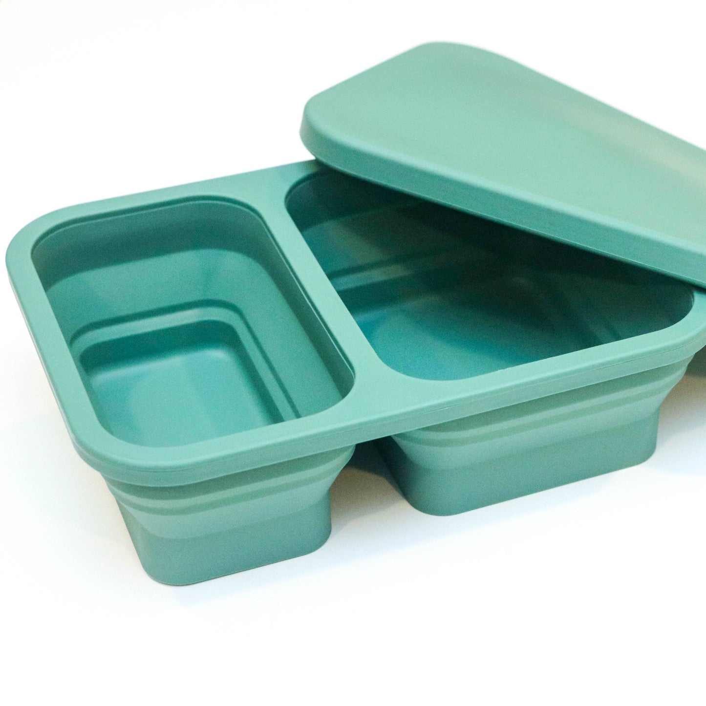 Pop Up Bento Box