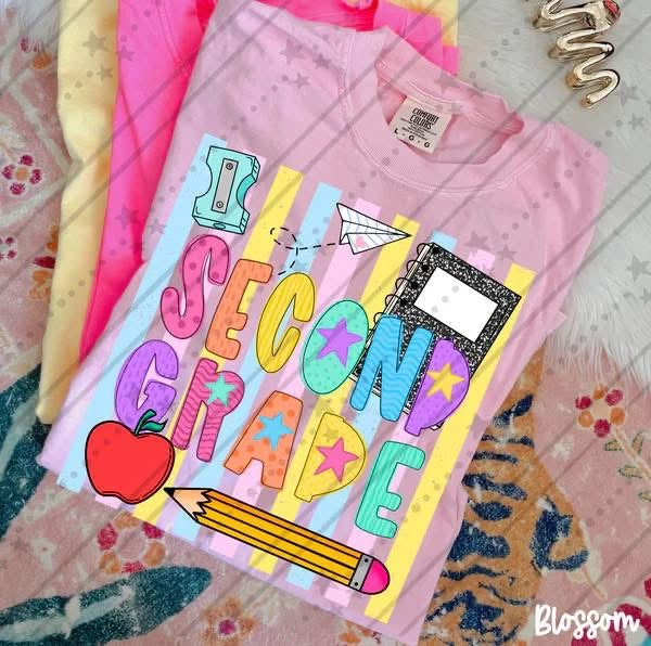 Pre-Order: Colorful Stripes School Tee
