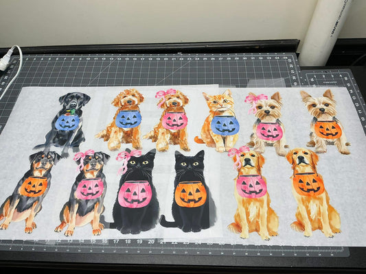 Ready to Ship: Halloween Pet Tees