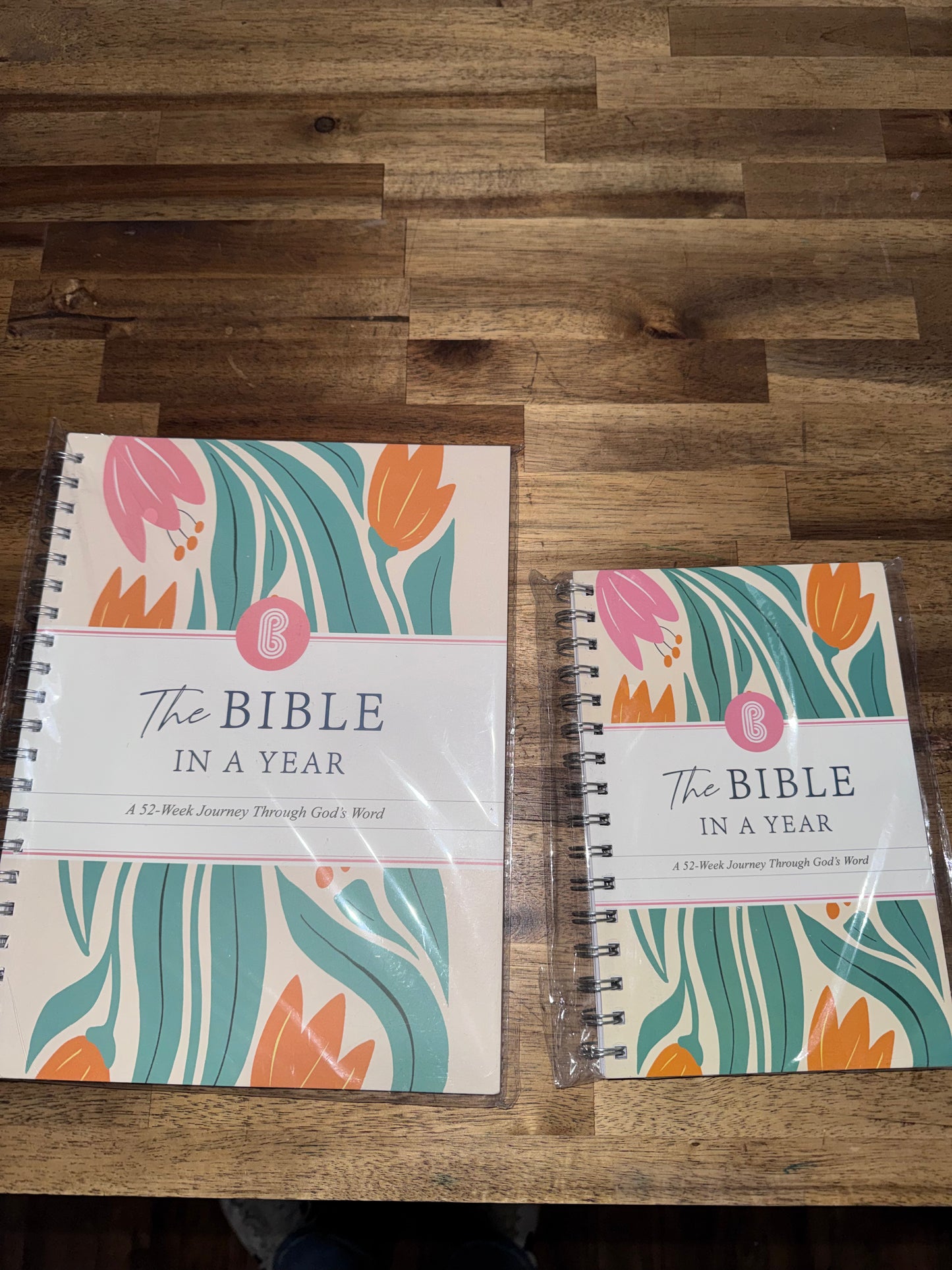 Ready to Ship: Bible In A Year Notebook - Salt Threads
