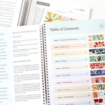 Ready to Ship: Bible In A Year Notebook - Salt Threads