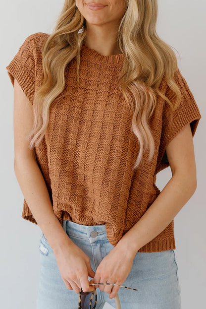 Camel Textured Knit Sweater Vest {RTS}